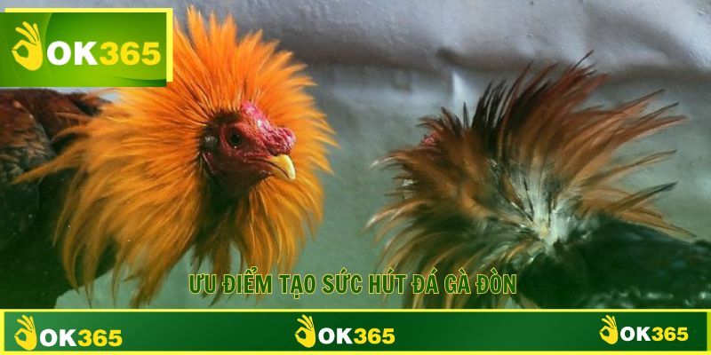 Ưu điểm nổi bật tạo nên sức hút của đá gà đòn 